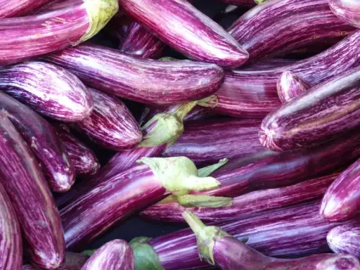 Un tas d'aubergines zébrées, parfaites pour une recette d'aubergine savoureuse.